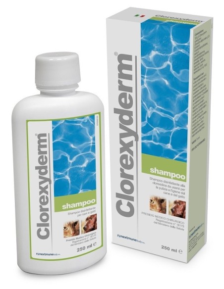 CLOREXYDERM SHAMPOO 250 ML