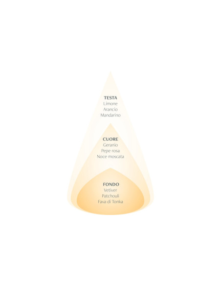 AGRUMI DI SICILIA - RICARICA PER DIFFUSORE A BASTONCINI NASOTERAPIA 250 ML AGRUMI DI SICILIA - RICARICA PER DIFFUSORE A BASTONCINI NASOTERAPIA 250 ML