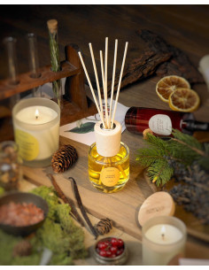 AGRUMI DI SICILIA - DIFFUSORE A BASTONCINI NASOTERAPIA 100 ML 2