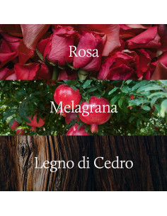 MELAGRANA & FRAGOLA SELVATICA - RICARICA PER DIFFUSORE A BASTONCINI NASOTERAPIA 250 ML 2