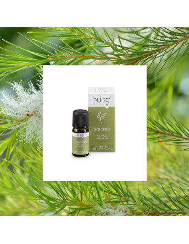 PURAE OLIO ESSENZIALE DI TEA TREE BIO 10 ML
