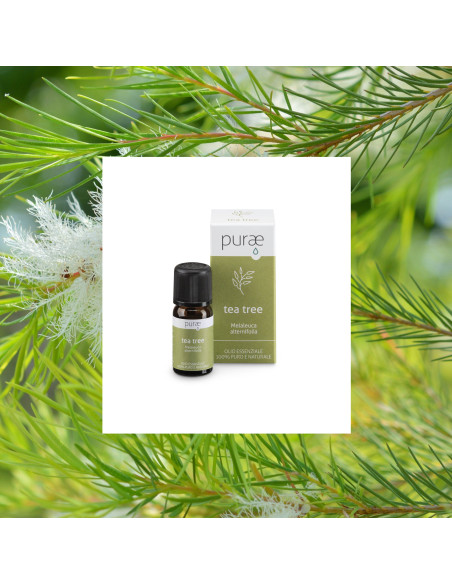 PURAE OLIO ESSENZIALE DI TEA TREE BIO 10 ML PURAE OLIO ESSENZIALE DI TEA TREE BIO 10 ML