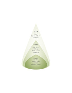 NASOTERAPIA SAPONE MANI RIGENERANTE - LIME & FOGLIE DI MENTA 500 ML 2