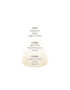 NASOTERAPIA CARD PROFUMATA PER ARMADI E CASSETTI - ONDA DI FOGLIE DI VIOLETTA & ZAGARA 2