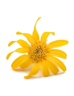 ARNICA MONTANA CREMA 80% - LINEA I PREPARATI DEL FARMACISTA 150 ML