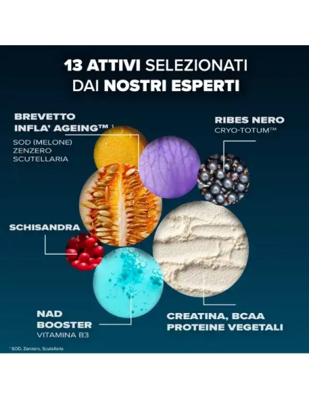 ARKOPHARMA LONGEVITY SALUTE MUSCOLARE 285 G