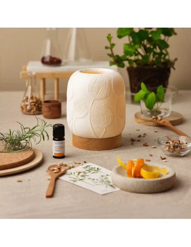 NASOTERAPIA DIFFUSORE ELETTRICO TULIPA PER OLI ESSENZIALI