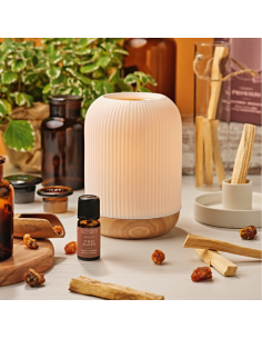 NASOTERAPIA KIT ESSENZA DI PALO SANTO - SINERGIA ARMONIA E DIFFUSORE HOLY 2