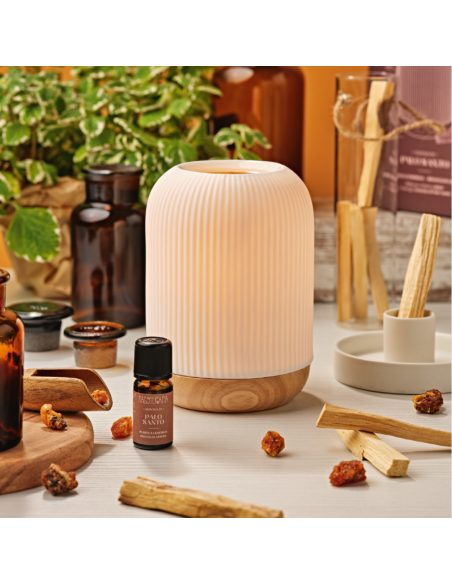 NASOTERAPIA KIT ESSENZA DI PALO SANTO - SINERGIA ARMONIA E DIFFUSORE HOLY