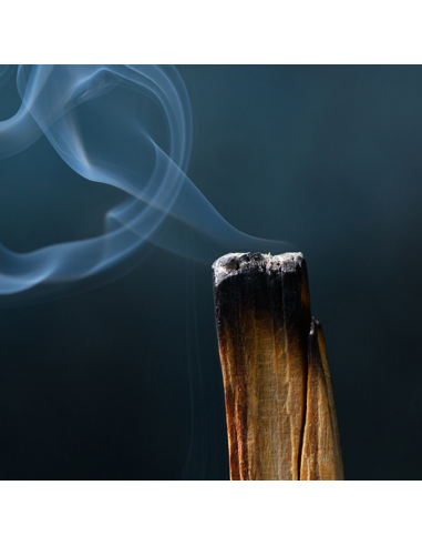 NASOTERAPIA KIT RITUALE DI PALO SANTO - 2 LEGNI + PIATTINO