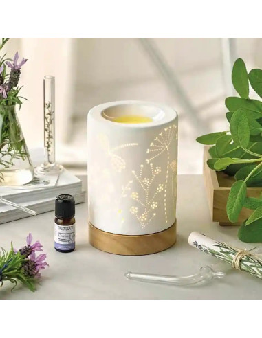 NASOTERAPIA DIFFUSORE ELETTRICO SECRET GARDEN PER OLI ESSENZIALI